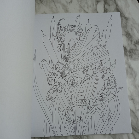 Majestic Dragons Adult Coloring Book w/Pencils NEW - Picture 8 of 8